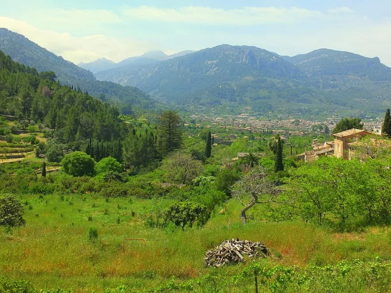 Naranjales del valle de Sóller con el pueblo de Fornalutx y las montañas de la Tramuntana, Mallorca